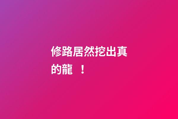 修路居然挖出真的龍！